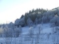 	�ri I�opaniszad, czyli kurs bhakti �astri