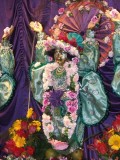 Gaura Purnima w Nowym Szantipur 2008