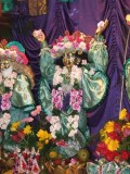 Gaura Purnima w Nowym Szantipur 2008