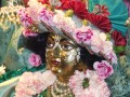 Gaura Purnima w Nowym Szantipur 2008