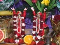 Gaura Purnima w Nowym Szantipur 2008