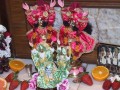 Gaura Purnima w Nowym Szantipur 2008