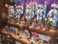 Gaura Purnima w Nowym Szantipur 2008