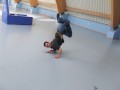 Robi� swoje... czyli zwyci�stwo nie jeden ma smak