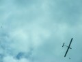 Harinamowe Leszno