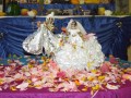 Radhastami w Jaworze