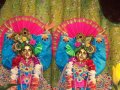 Vjasa Puja Jayapataki Swamiego - Wroc�aw 2010