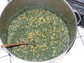 Vjasa Puja Jayapataki Swamiego - Wroc�aw 2010