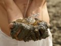 Rocznica ...