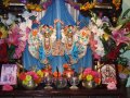 Ratha Yatra - Wroc�aw 2010 