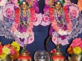 Ratha Yatra - Wroc�aw 2010 