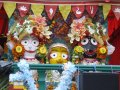 Ratha Yatra - Wroc�aw 2010 