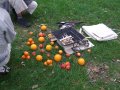 Si�dmy Zlot „Harmonia Kosmosu”