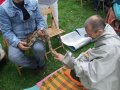 Si�dmy Zlot „Harmonia Kosmosu”