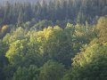 Rocznica instalacji Sri Sri Pancia Tattvy w Nowym Szantipur