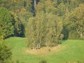 Rocznica instalacji Sri Sri Pancia Tattvy w Nowym Szantipur