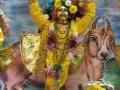 Govardhana Puja 2010 w Nowym Shantipur
