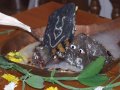 Govardhana Puja 2010 w Nowym Shantipur