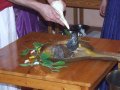 Govardhana Puja 2010 w Nowym Shantipur