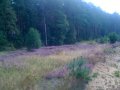 Rancho