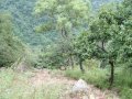 Ahovalam ... zapiski z podr�y