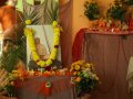 Vyasa puja Suhotry Swamiego w Stargardzie Szczeci�skim cz.1