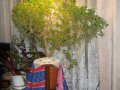 Listopadowe spotkanie Nama-Hatta w Bia�ymstoku