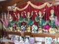 Kilka refleksji Rupy Manjari dd. na zako�czenie roku 2010