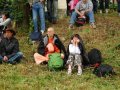 Harmonia Kosmosu 2011