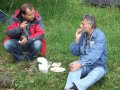 Harmonia Kosmosu 2011