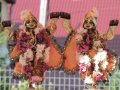 Padayatra 2011