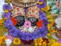 Rocznica pojawienia si� Pana Balaramy w Nowym Szantipur