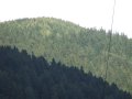Rocznica pojawienia si� Pana Balaramy w Nowym Szantipur