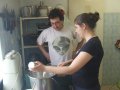 Spotkanie z Kultur� Staro�ytnych Indii -Wroc�aw 25.02.2012