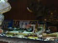 Wizyta Trisamy Prabhu w Nama Hatta Bia�ystok