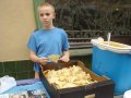 Food For Life we Wroc�awiu