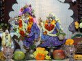 Radhastami w Wa�brzychu 2012