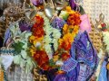 Radhastami w Wa�brzychu 2012