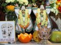 Radhastami w Wa�brzychu 2012