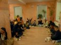 Govardhana Puja w Nowym Navadvip