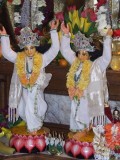 Gaura Purnima na farmie 2007 cz.II