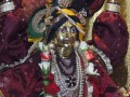Gaura Purnima na farmie 2007 cz.II