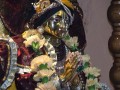 Gaura Purnima na farmie 2007 cz.II