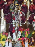 Gaura Purnima na farmie 2007 cz.II