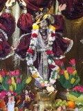 Gaura Purnima na farmie 2007 cz.II
