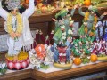 Gaura Purnima na farmie 2007 cz.II