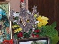 Gaura Purnima na farmie 2007 cz.II