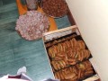 Gaura Purnima na farmie 2007 cz.II