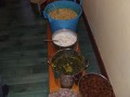Gaura Purnima na farmie 2007 cz.II