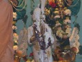 Pojawienia si� �riwasa Thakura